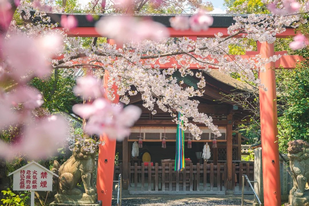 ⛩️ 타카카모 신사 이미지 4